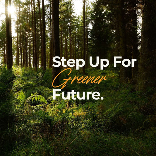 Sustainable Chic: Why Your Beauty Routine Needs a French (and Eco-Friendly!) Revolution