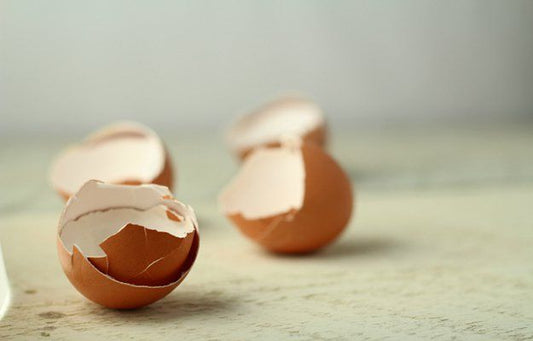 Eggshell Membrane: Fascinating Facts About the Ingredient Behind Modern Longevity Beauty