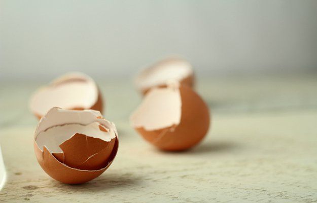 Eggshell Membrane: Fascinating Facts About the Ingredient Behind Moder ...