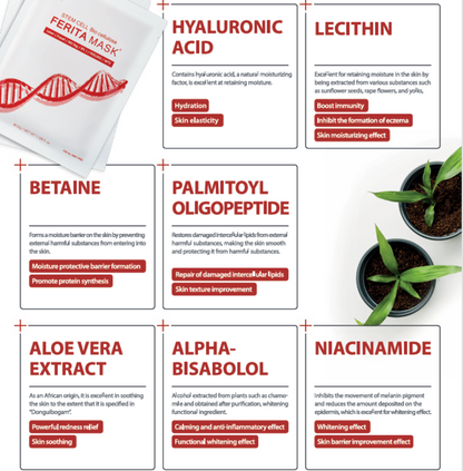 Celldich FERITA Stem Cell Mask 10 Sheets/Box